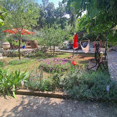 Apartments Korita Maranovici ภายนอก รูปภาพ